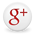 google icon